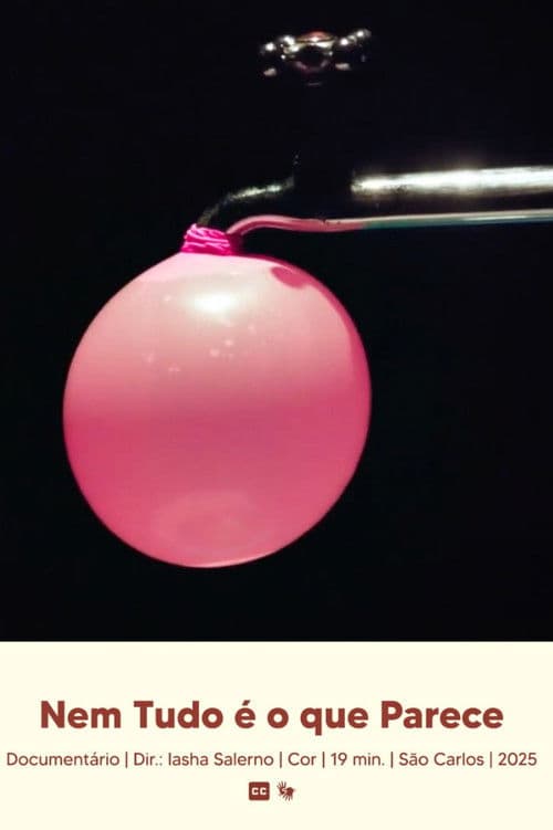 Nem Tudo é o que Parece